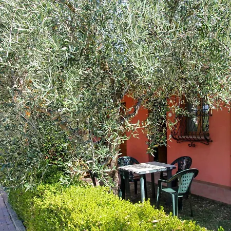 Locazione Turistica Orchidea - Fnm204